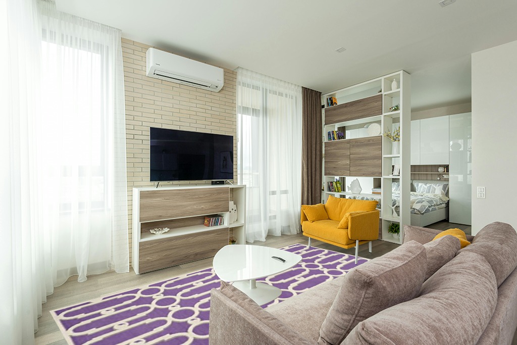 Rug over carpet ideas in Light Modern Living Room with TV