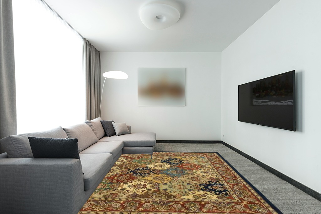 Rug over carpet ideas in Modern Living Room with Grey Couch