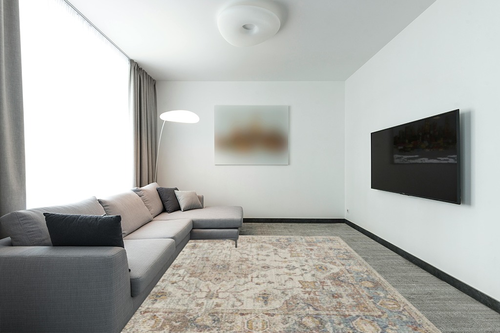 Cute rug ideas in Modern Living Room with Grey Couch