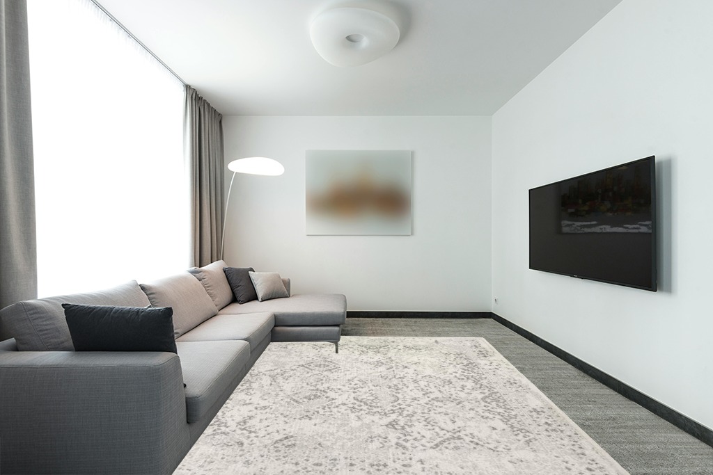 Rug over carpet ideas in Modern Living Room with Grey Couch