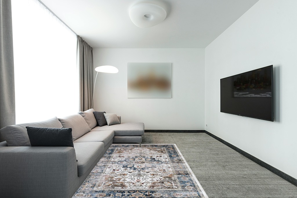 Blue rug ideas in Modern Living Room with Grey Couch