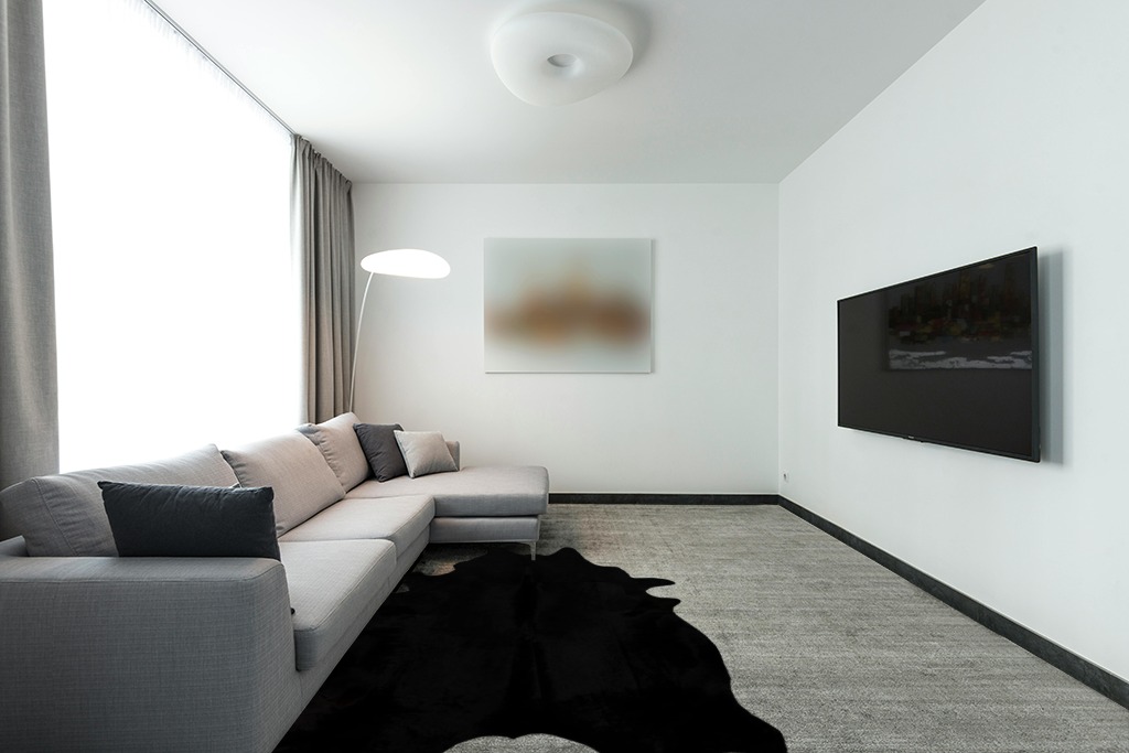 Faux fur rug ideas in Modern Living Room with Grey Couch