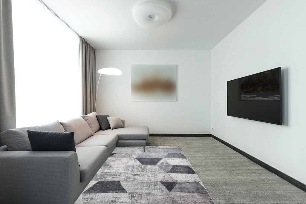 Rug over carpet ideas in Modern Living Room with Grey Couch