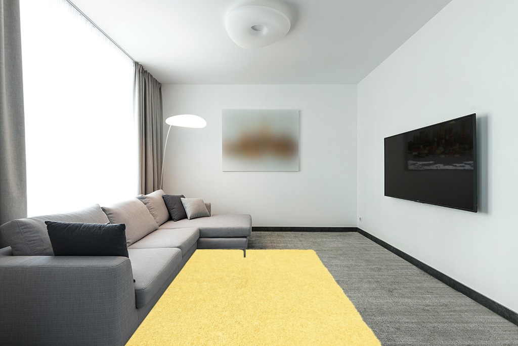 Condo rug ideas yellow in Modern Living Room with Grey Couch