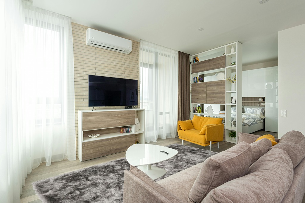 Are black rugs a bad idea in Light Modern Living Room with TV