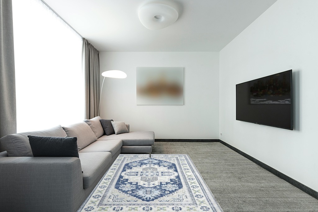 Oriental rug decorating ideas in Modern Living Room with Grey Couch