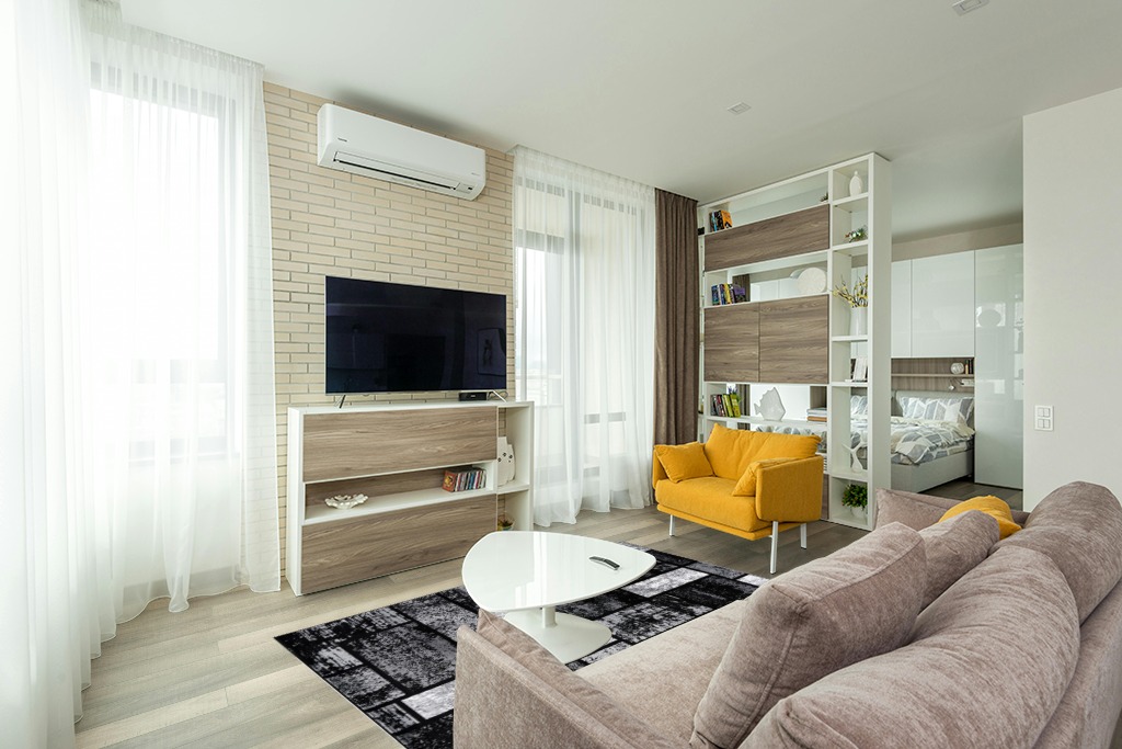 Are black rugs a bad idea in Light Modern Living Room with TV