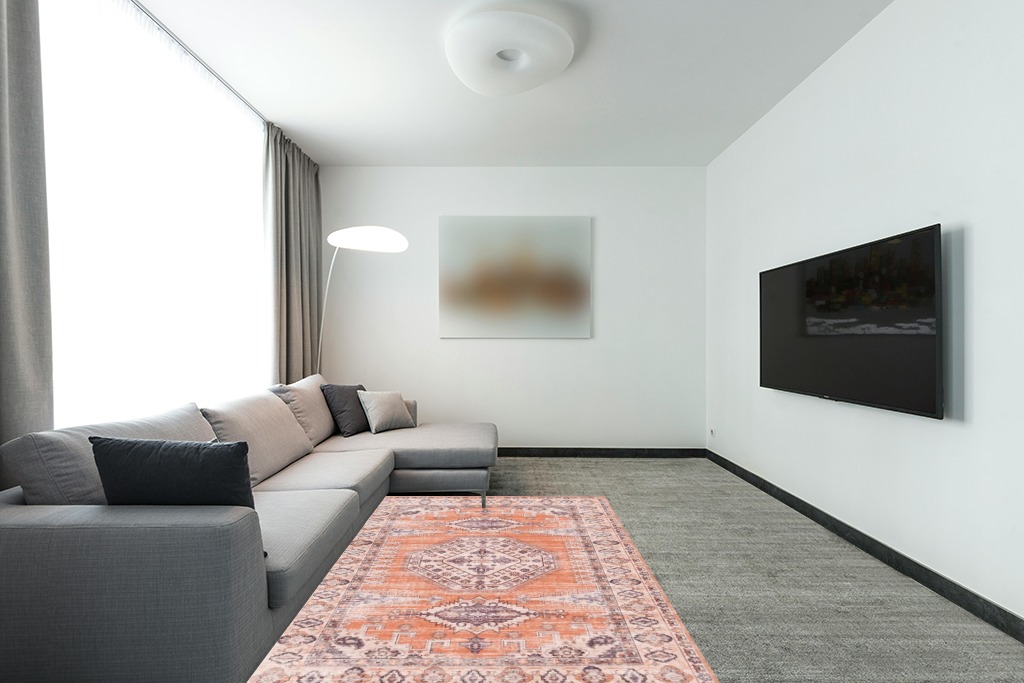 Cute rug ideas in Modern Living Room with Grey Couch