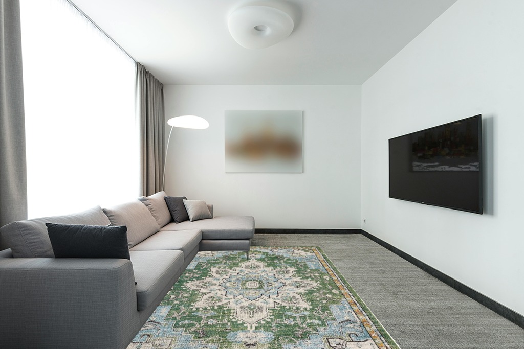 Green rug ideas in Modern Living Room with Grey Couch