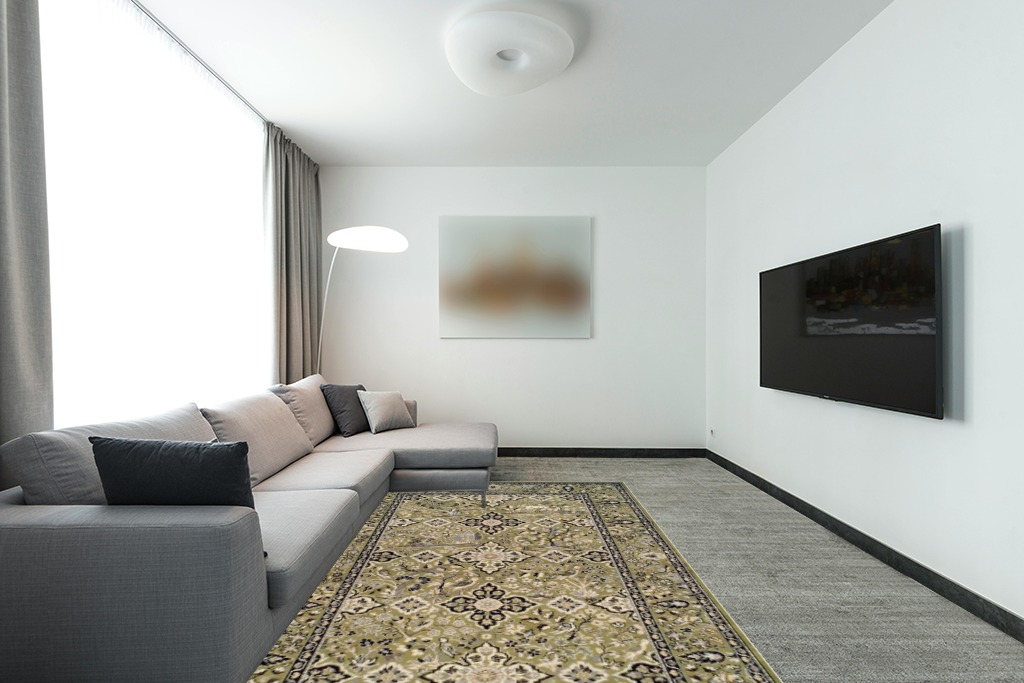 Jute rug decorating ideas in Modern Living Room with Grey Couch