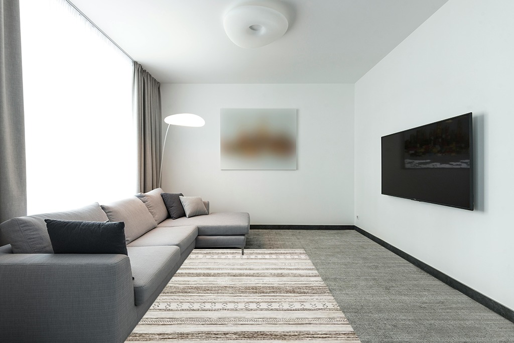 Farmhouse living room rug ideas in Modern Living Room with Grey Couch