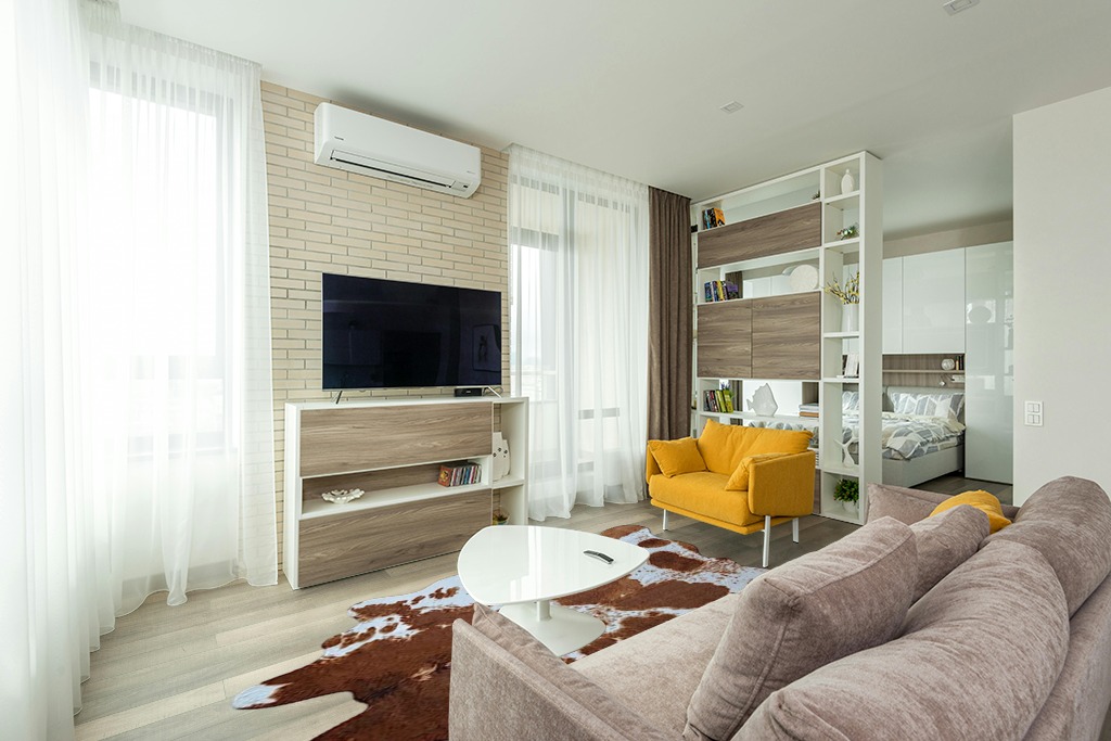 Faux fur rug ideas in Light Modern Living Room with TV