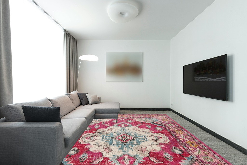Large rug ideas in Modern Living Room with Grey Couch