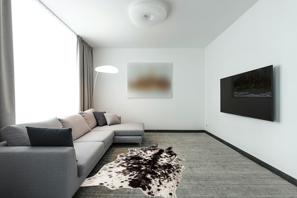 Are black rugs a bad idea in Modern Living Room with Grey Couch