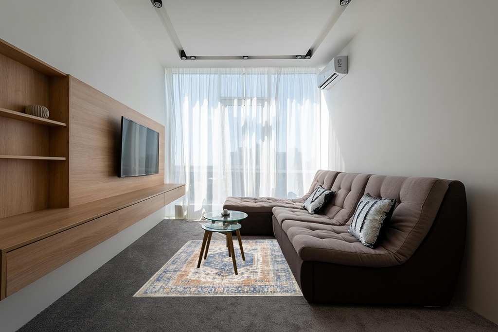 Blue rug ideas in Grey Living Room with Brown Couch
