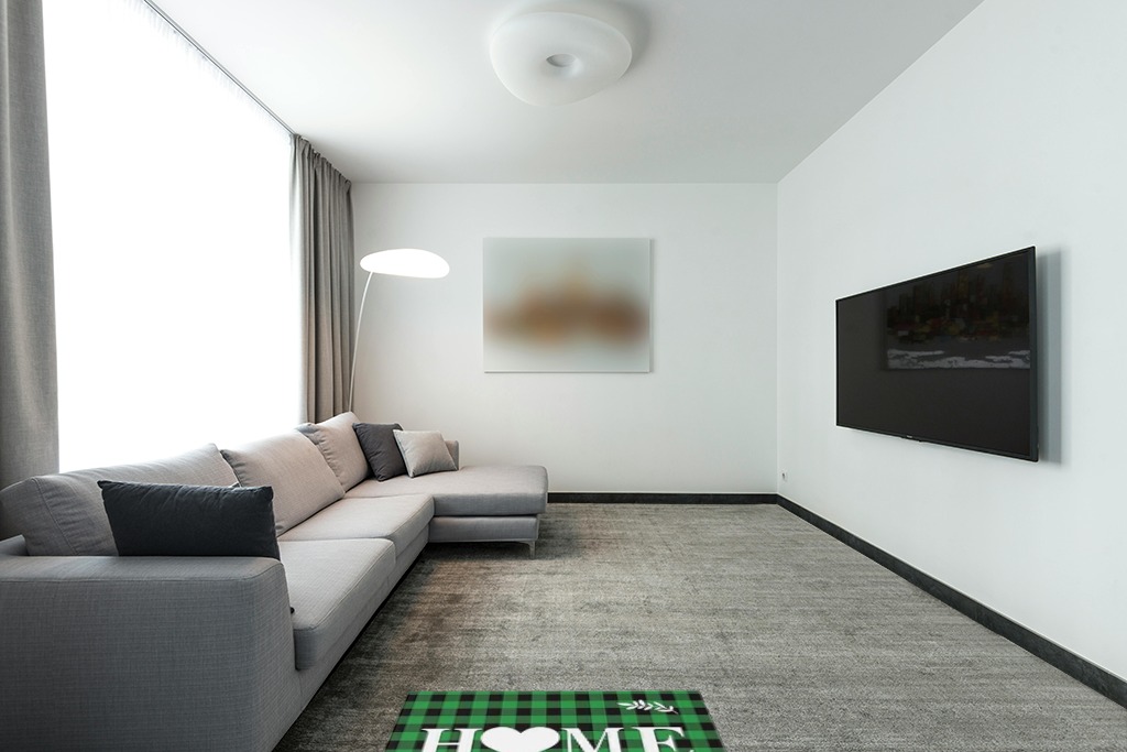Rug over carpet ideas in Modern Living Room with Grey Couch