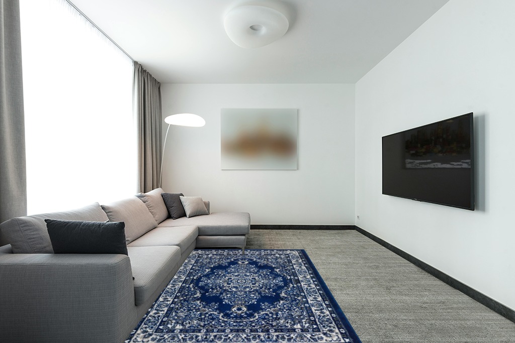 Oriental rug decorating ideas in Modern Living Room with Grey Couch