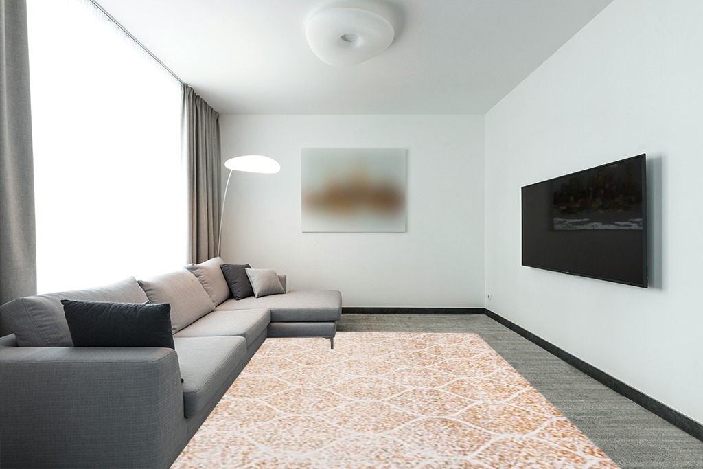 Rug over carpet ideas in Modern Living Room with Grey Couch