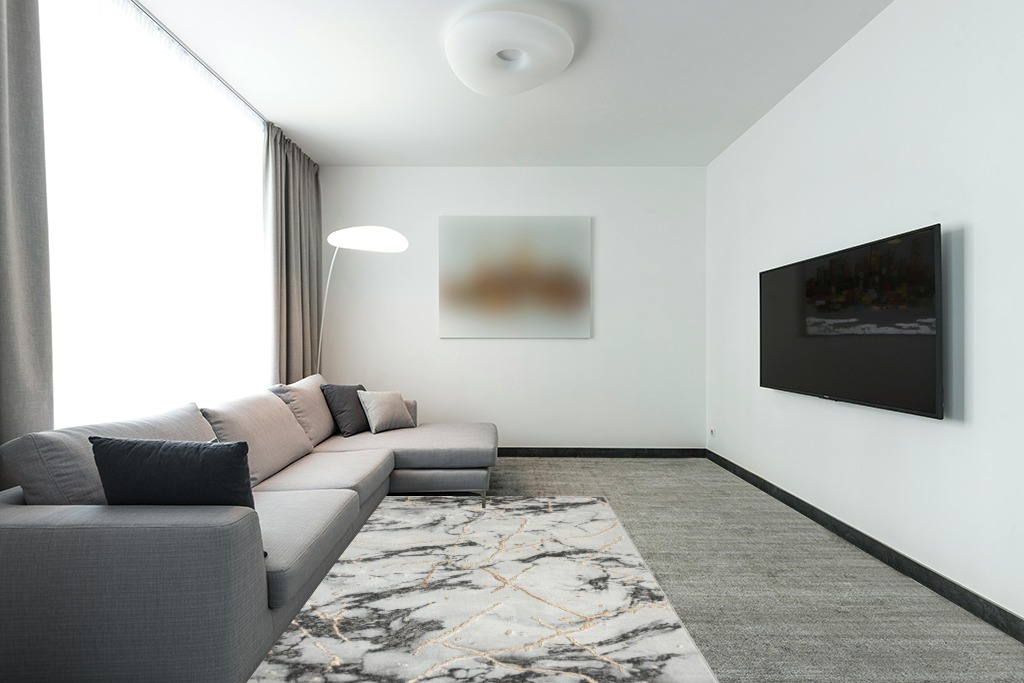 Rugs on grey carpet ideas in Modern Living Room with Grey Couch
