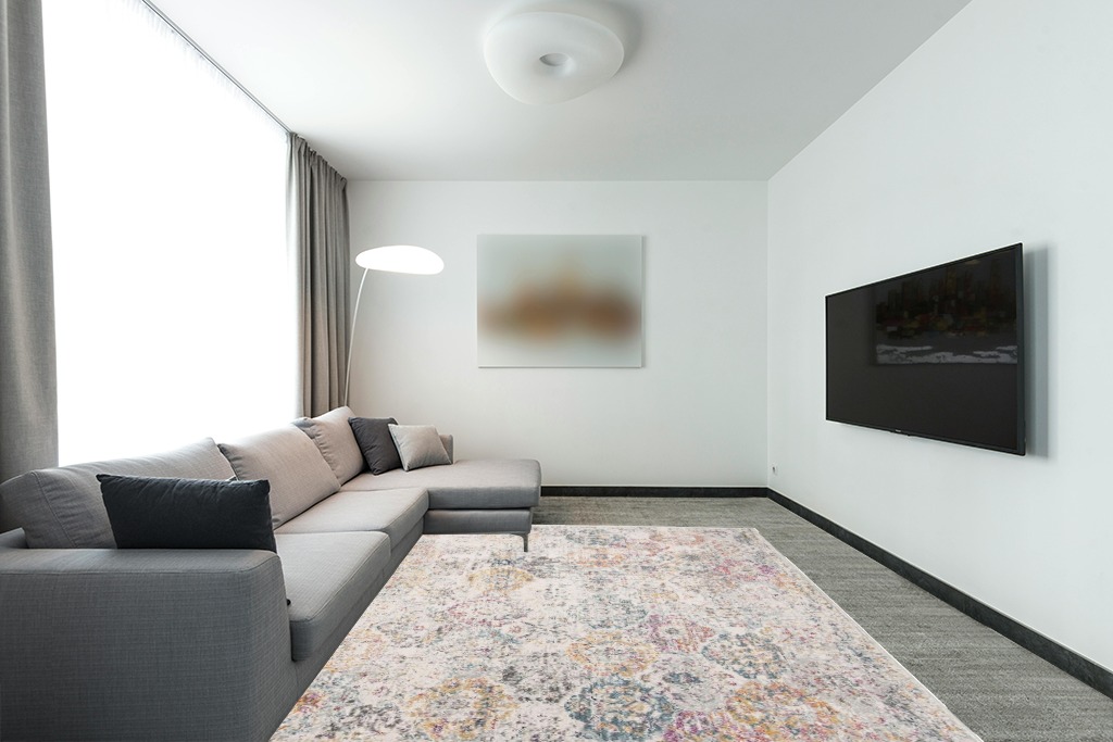 Rug over carpet ideas in Modern Living Room with Grey Couch