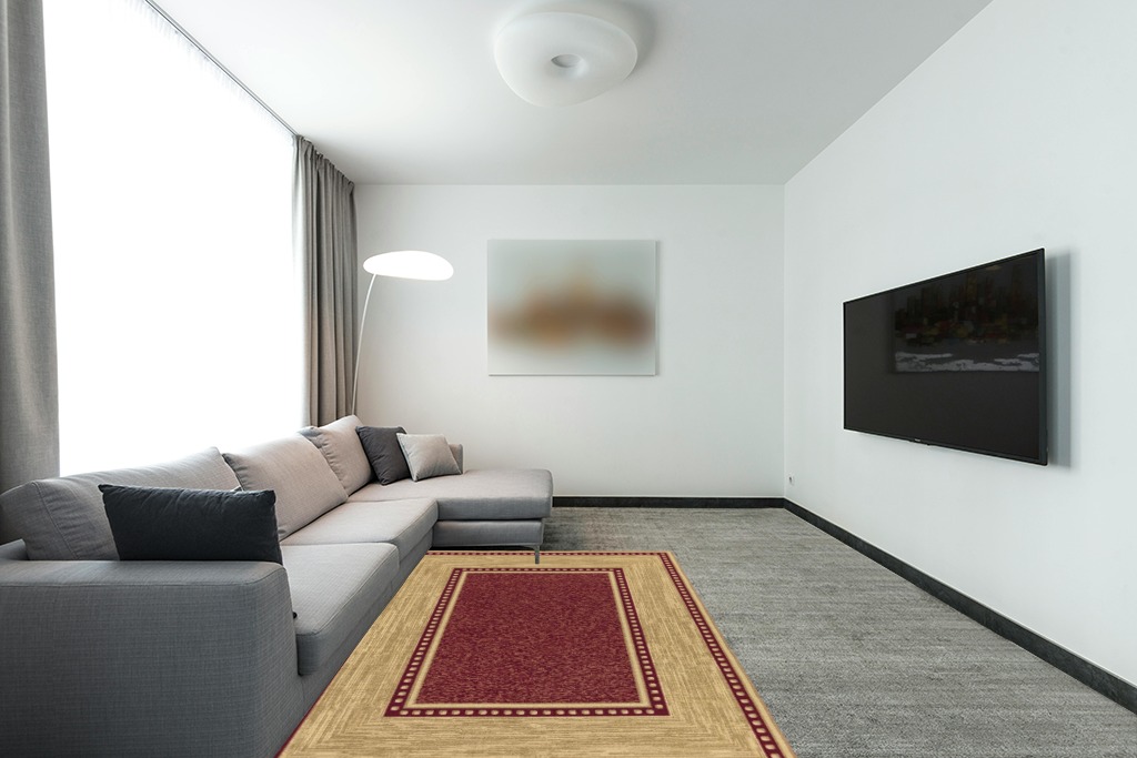 Rug over carpet ideas in Modern Living Room with Grey Couch