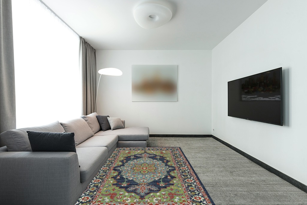 Farmhouse rug ideas in Modern Living Room with Grey Couch