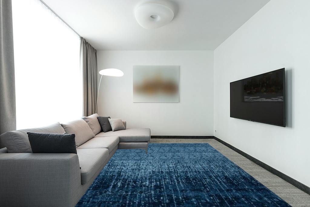 Large rug ideas in Modern Living Room with Grey Couch