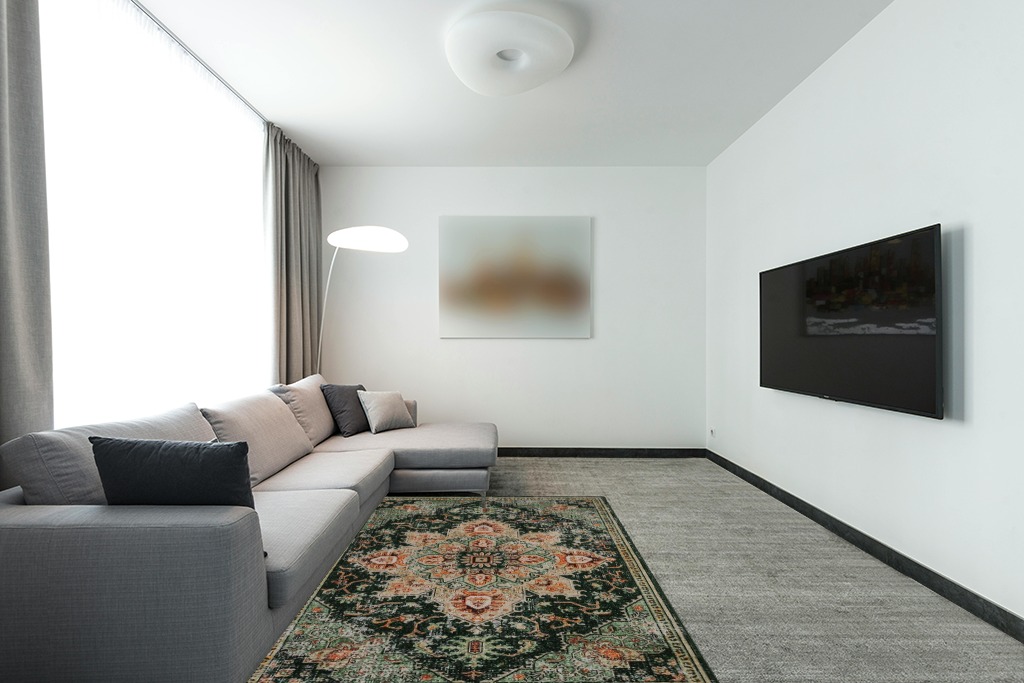 Green rug ideas in Modern Living Room with Grey Couch