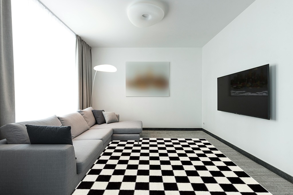 Black and white rug ideas in Modern Living Room with Grey Couch