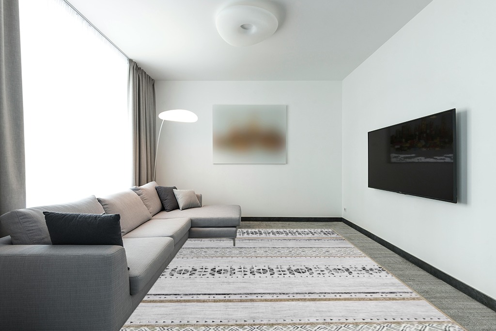 Large rug ideas in Modern Living Room with Grey Couch