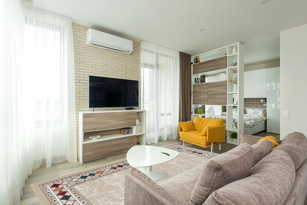 Cute rug ideas in Light Modern Living Room with TV