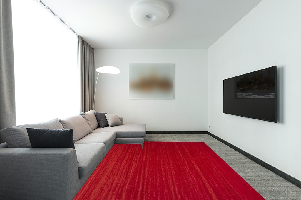 Rug over carpet ideas in Modern Living Room with Grey Couch