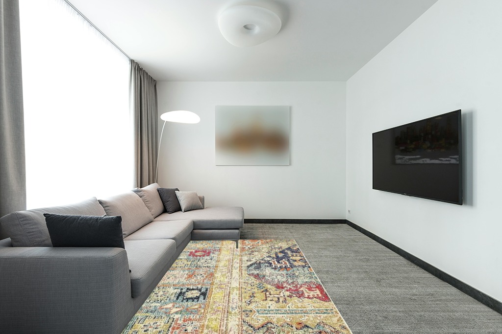 Rug over carpet ideas in Modern Living Room with Grey Couch