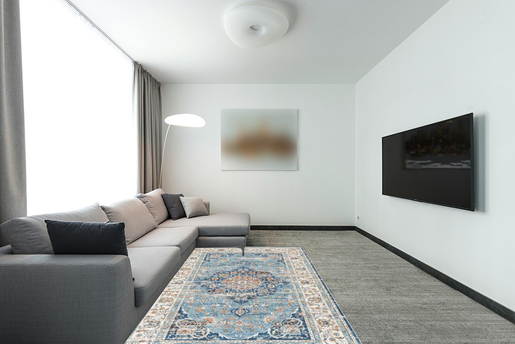 Rug over carpet ideas in Modern Living Room with Grey Couch