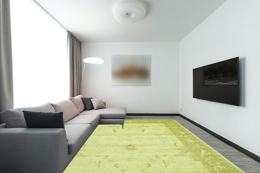 Green rug ideas in Modern Living Room with Grey Couch