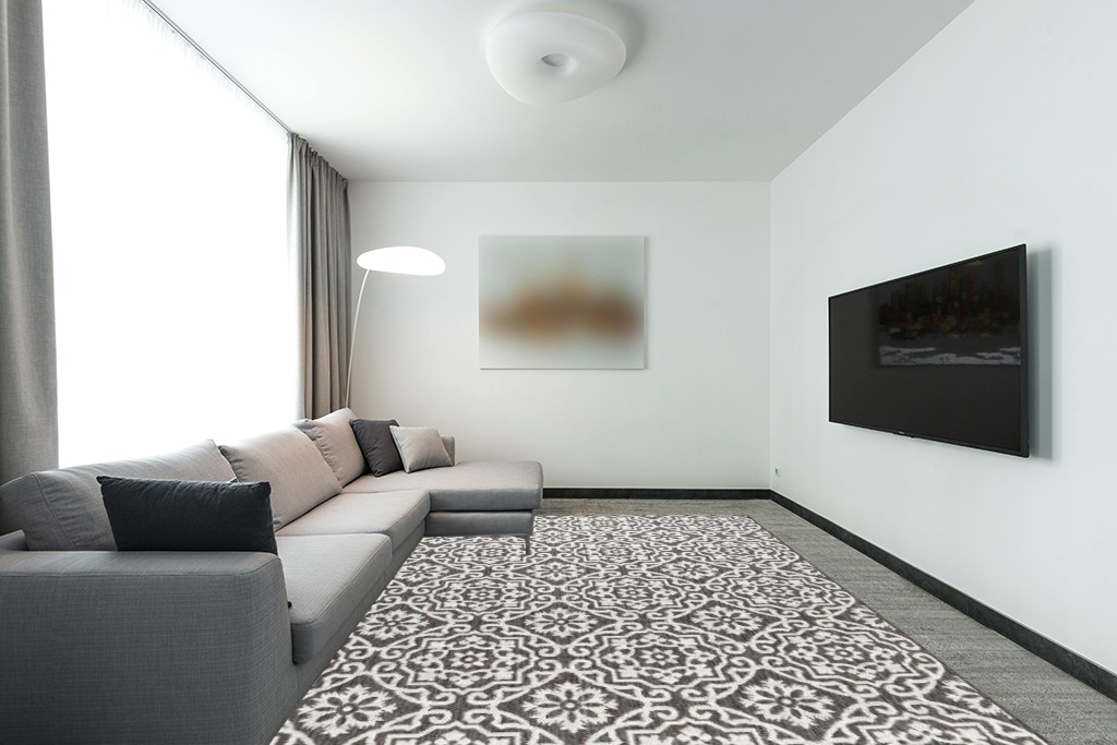 Large rug ideas in Modern Living Room with Grey Couch