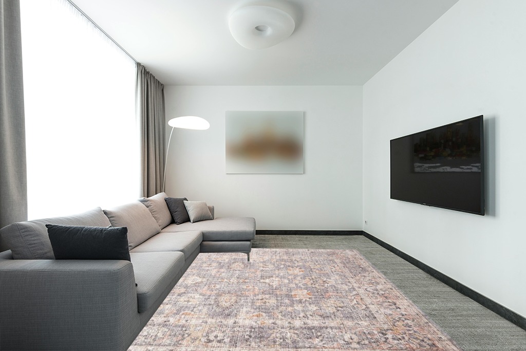 Rug over carpet ideas in Modern Living Room with Grey Couch