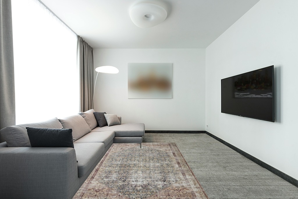 Cowhide rug decor ideas in Modern Living Room with Grey Couch