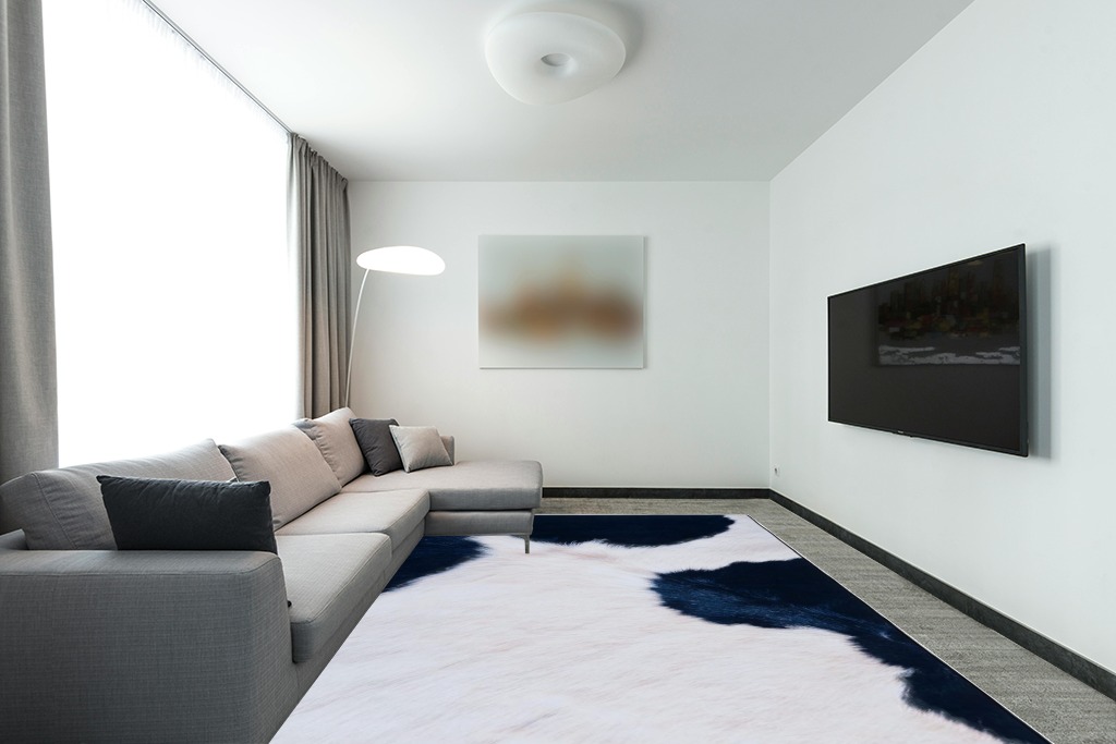 Large rug ideas in Modern Living Room with Grey Couch